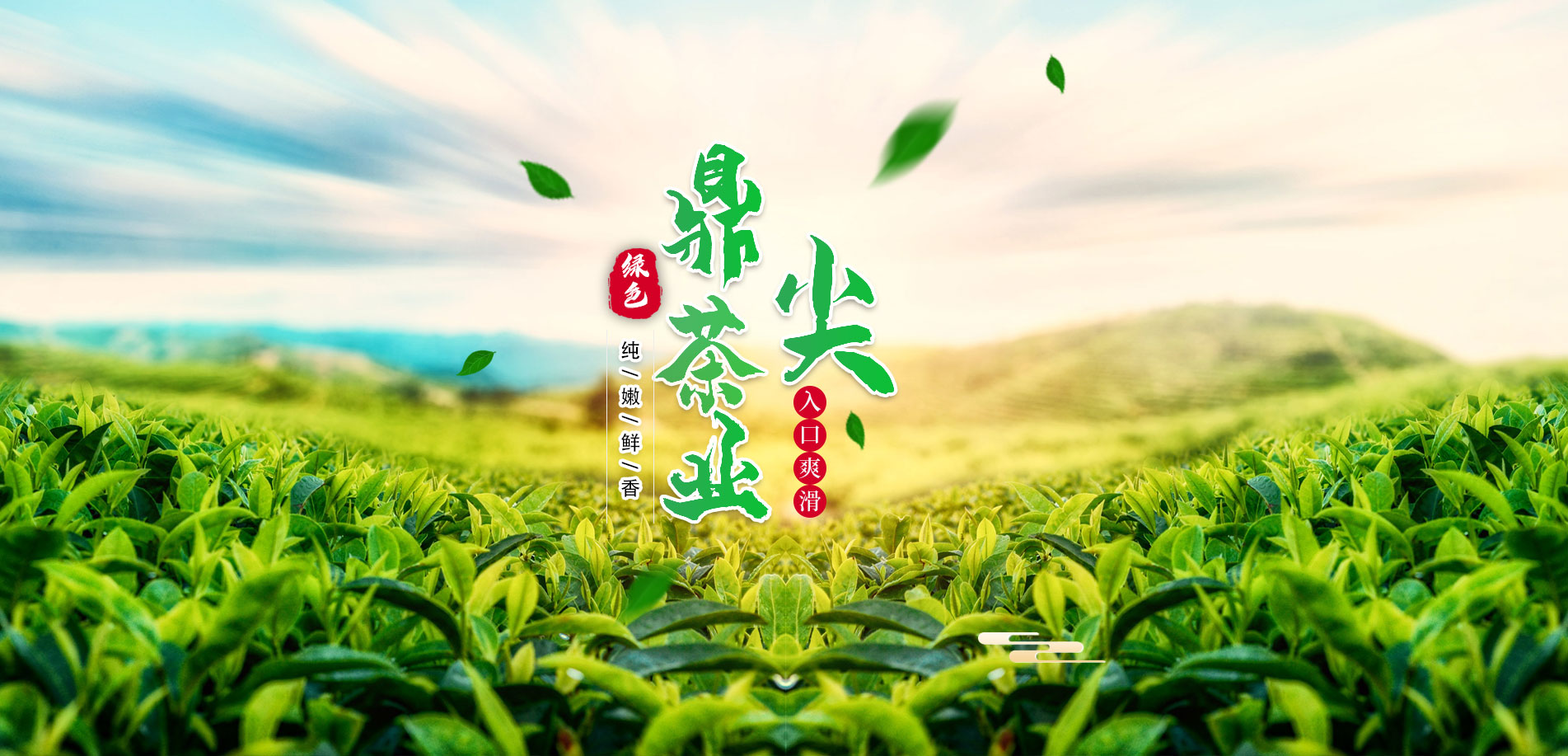 濰坊市鼎尖茶業(yè)有限公司